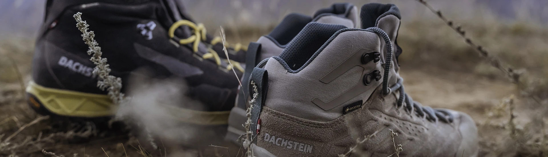 Wayfinder Shoe Shop -Wayfinder Shoe Shop Slide22 FullWidthBanner D